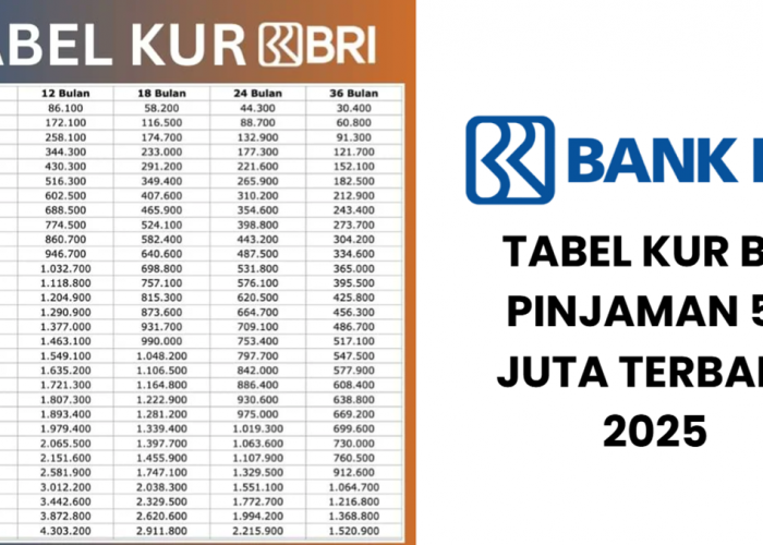 Tabel Angsuran KUR BRI 50 Juta untuk UMKM, Cicilan Mulai 20 Ribu Tiap Bulan