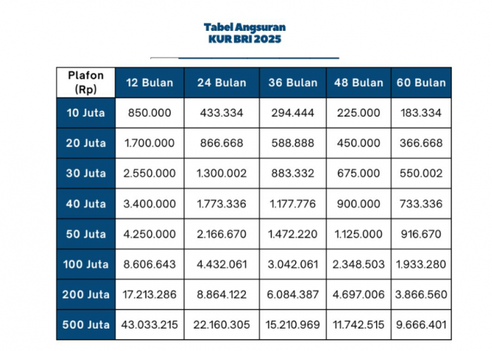 Butuh Pinjaman Sampai Rp100 Juta Tanpa Perlu Jaminan? Ini Cara Ajukan KUR BRI 2025 Cicilan Mulai Rp200 Ribu!