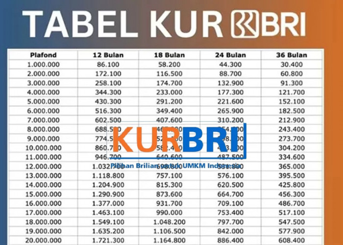 Berapa Angsuran KUR BRI 10 Juta? Cek Simulasi dan Tips Pinjaman Berikut Ini untuk Bantu Usaha Naik Level!
