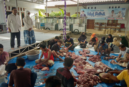 Anggota DPR RI Herman Khaeron Qurban 11 Ekor Sapi dan 9 Kambing