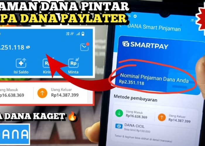 Terafiliasi oleh OJK! Ini Cara Pinjam Saldo DANA Tanpa Dana Paylater Senilai 2 Juta dengan Tenor 12 Bulan