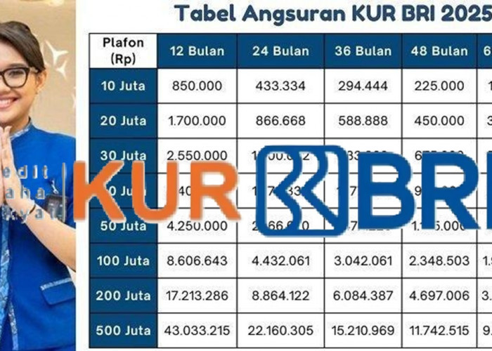 Tabel Angsuran KUR BRI 2025 Terbaru: Siap Bawa Usaha Naik Level Tanpa Pusing Cicilan Bulanan Tinggi!