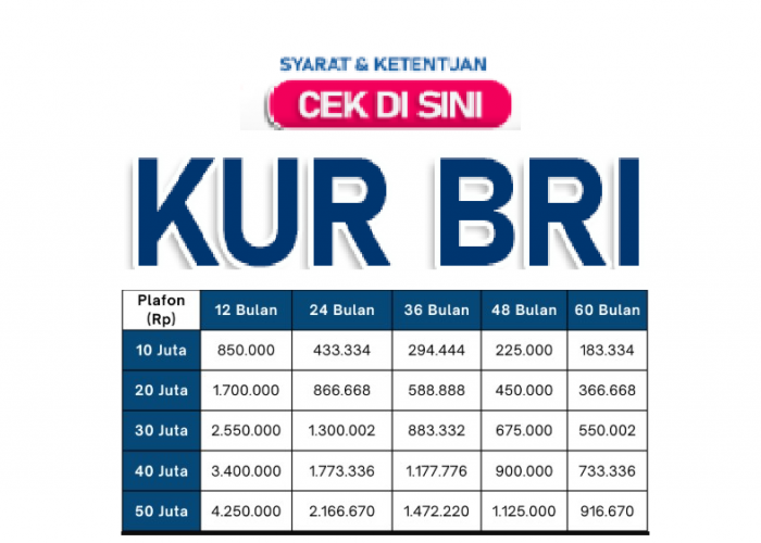 Ini Tips Pengajuan Cepat Diterima dan Tabel Pinjaman KUR BRI Plafon 10 Juta - 50 Juta, Berapa Cicilannya?