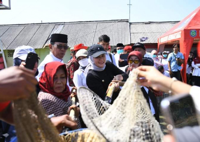 Siap Bangun Sentra Budidaya.Ikan Lele 