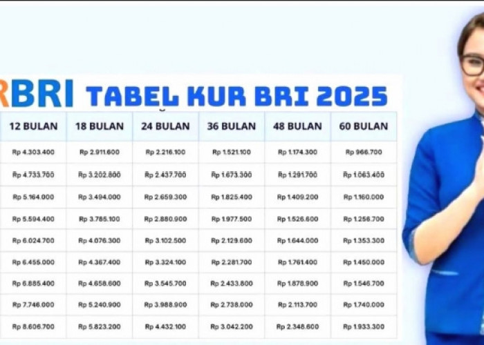 Simulasi Angsuran KUR BRI 2025: Dari Rp 1 Juta Hingga Rp 100 Juta