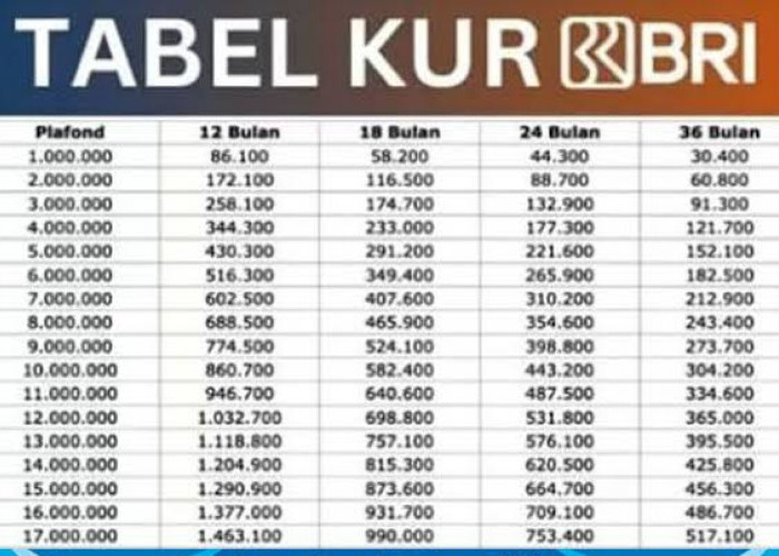 Angsuran KUR BRI Rp100 Juta Berapa Cicilannya Per Bulan? Ternyata Cuma Segini, Simak Penjelasannya! 