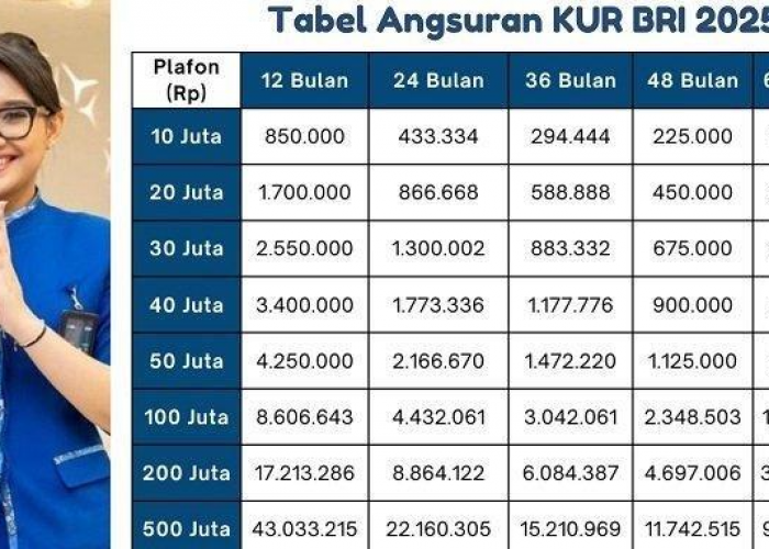 Tabel KUR BRI 2025 Terbaru: Cek Simulasi Cicilanmu Sebelum Ajukan Pinjaman!