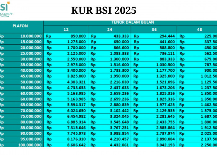 Ini Cara Dapat Modal Usaha Tanpa Riba dan Halal MUI KUR BSI 2025, Cair Hingga Rp100 Juta