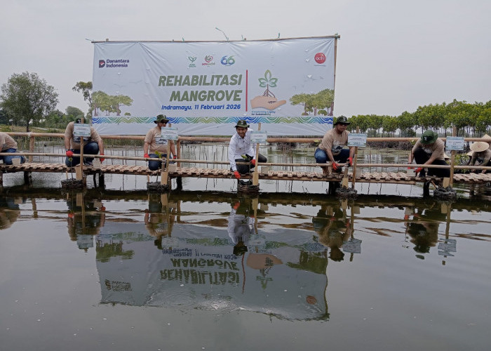 Bupati Lucky:  Penanaman Mangrove Jangan Hanya Seremonial,  Ditanam Lalu Ditinggal