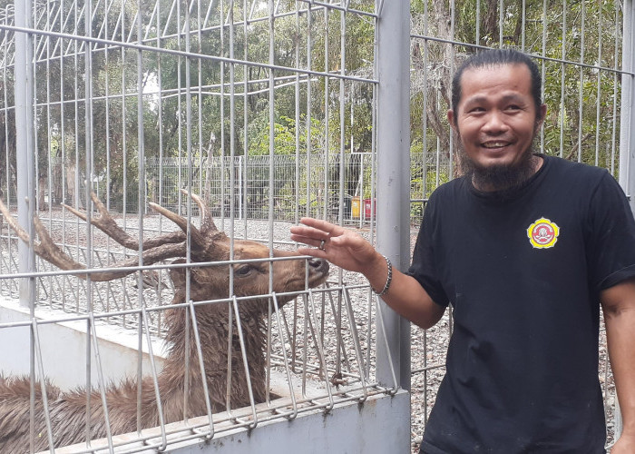 Taman Kehati, Pusat Pelestarian Lingkungan di Jantung Kota 