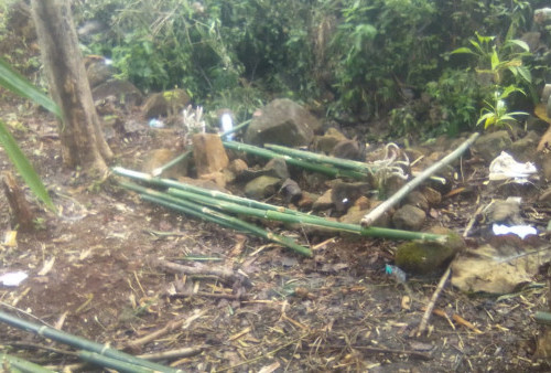 Tak Sengaja Ditemukan Sebuah Makam Pendiri Desa Sarwadadi di Hutan Bambu