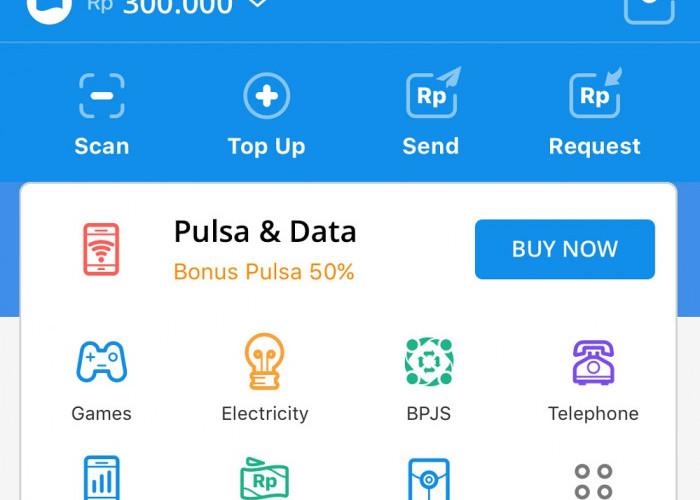 Saldo Dana Hilang? Jangan Panik! Ini Langkah-langkah yang Harus Kamu Lakukan