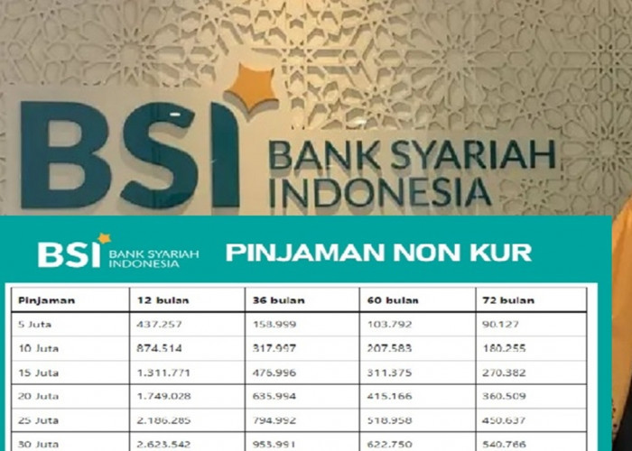 Pinjaman Non KUR BSI 2025: Skema Pembiayaan Modal Usaha 100% Halal! Cek Syarat dan Ketentuannya di Sini!