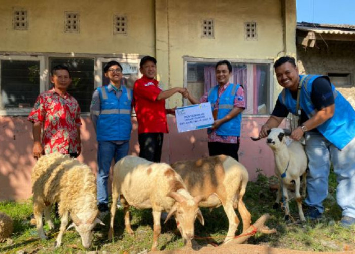 PLTU Indramayu Bantu Hewan Kurban Untuk Desa Penyangga dan Stakeholder