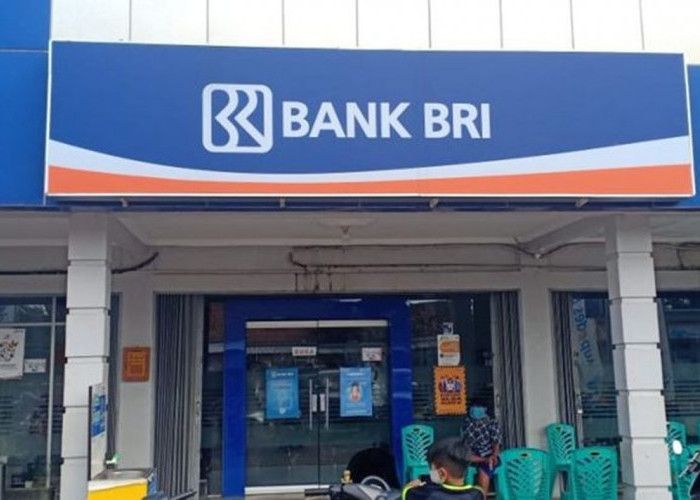 Butuh Modal Usaha Cepat dan Terpercaya? Simak Simulasi Angsuran KUR BRI 2025 dari Rp10 Juta Sampai Rp50 Juta!