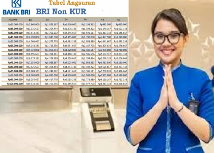 Butuh Modal Akhir Bulan? Non KUR BRI 2025 Tawarkan Pinjaman Terbaru Hingga Rp50 Juta, Simak Skemanya
