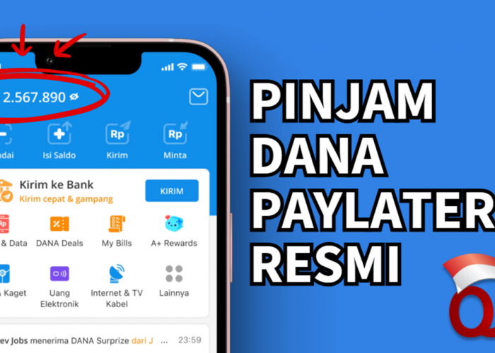 Butuh Dana Darurat dan Cepat? Cek Cara Pinjam Dana Paylater Resmi OJK Disini, Bisa Dapat Limit Hingga 10 Juta!