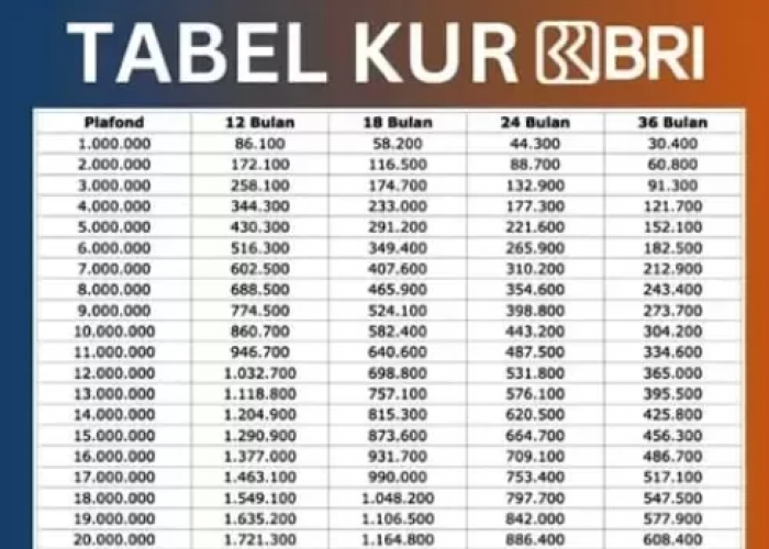 Cuma Bayar Cicilan 1 Juta Perbulan Bisa Bikin Usaha Kamu Makin Besar! Cek Simulasi Pinjaman Dari KUR BRI 2025