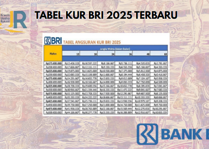 KUOTA KUR TERBATAS TINGGAL Rp91 TRILIUN! Cukup Dengan KTP Bisa Langsung Ambil Pinjaman Modal KUR BRI 2025!
