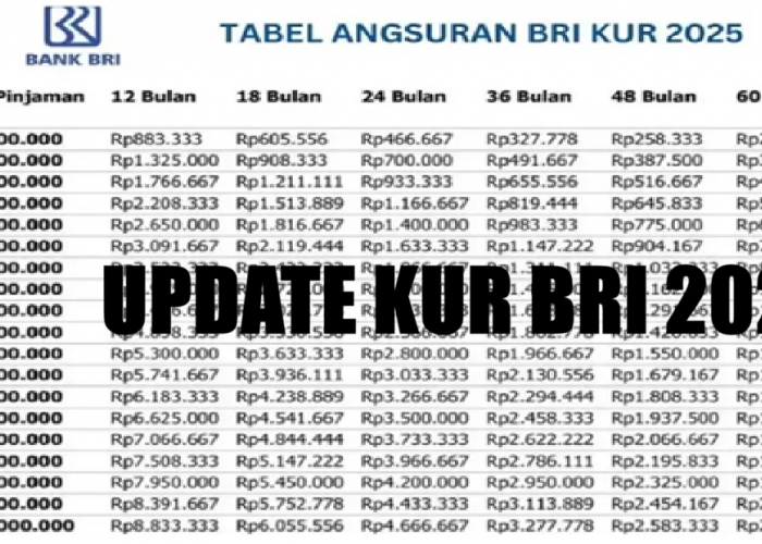 Intip Angsuran Terbaru KUR BRI 2025 Plafon Pinjaman Rp100 Juta, Mulai Dari Rp216 Ribuan Saja Cicilanya!