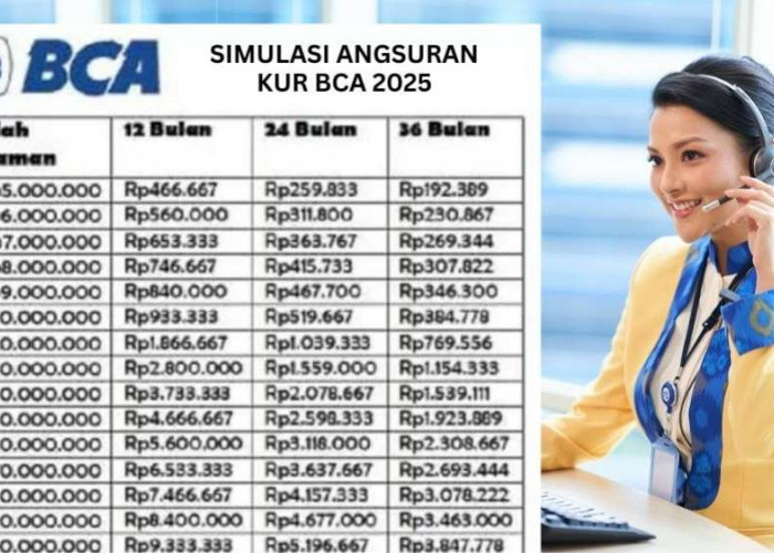 Simak Cara Ajukan KUR BCA 500 Juta Lengkap dengan Syarat Pengajuan dan Cicilan Terbaru Oktober 2025