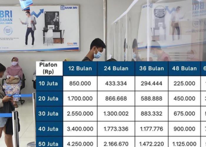 Cek KUR BRI Tabel Angsuran 30 Juta Rupiah Terbaru Tahun 2025, Tenor Panjang Cicilan Mulai dari Rp500 Ribuan