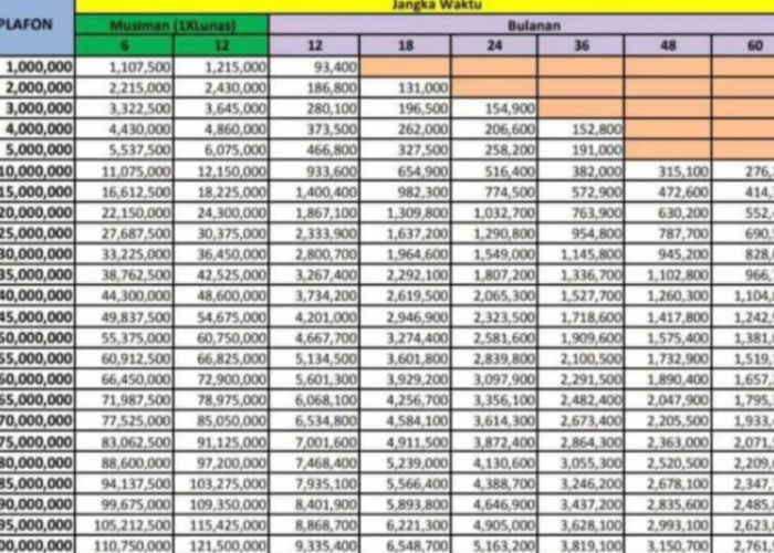 Cicilan Mulai Dari Rp300 Ribu Bisa Pinjam Rp15 Juta Tanpa Pinjol? Ini Rahasia Pinjam Di KUR BRI 2025 Bagi UMKM