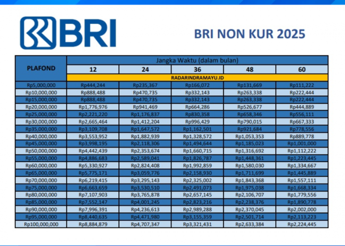 Tabel Angsuran Pinjaman Non-KUR BRI 100 Juta 2025 Terbaru, Simak Cara Daftarny Disini