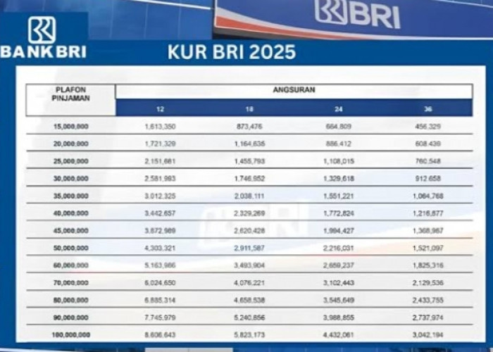 Bunga KUR BRI 2025 Plafon 10 Juta Efektif 3 Persen per tahun, Cicilan Terbaru Rp216.667 Ribu Perbulan!