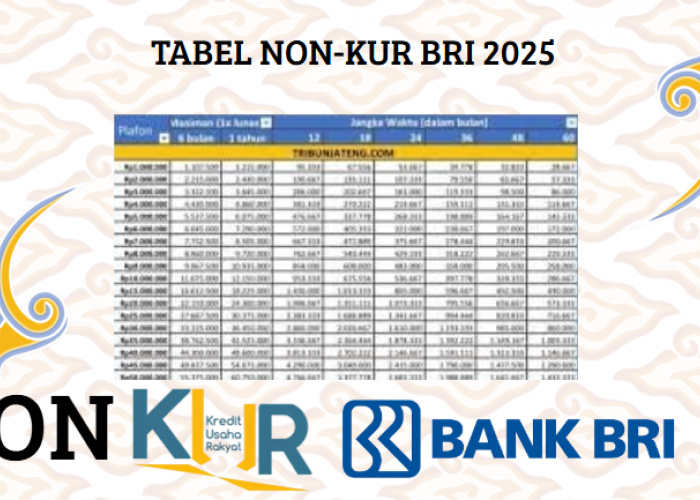 Berapa Ciciclan Pinjaman Non-KUR BRI 2025 Plafon Rp100 Juta 2025? Apa Saja Syarat Pengajuannya?