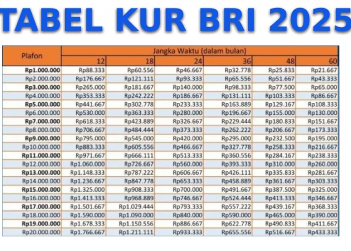 Update Tabel KUR Kecil BRI 2025 Plafon Rp25 Juta Tenor Hingga 5 Tahun, Simak Cicilan Perbulannya Disini!