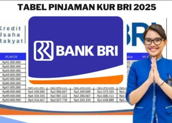 Angsuran Terbaru KUR BRI 2025 Plafon 100 Juta, Cicilan Rp2 Juta per bulan! Perhatikan NIK KTP Agar Approve 