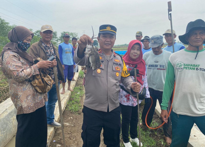 Wujudkan Swasembada Pangan, Polsek Kedokan Bunder Bantu Petani Basmi Hama