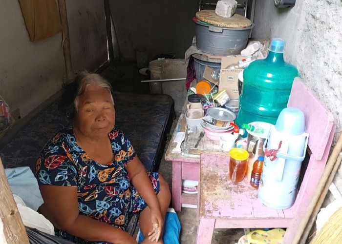 Sendiri di Gubuk Triplek, Sopiyah Bertahan di Usia Senja