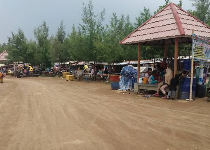 Pantai Karangsong, Keindahan Pantai yang Unik dengan Upaya Pelestarian Lingkungan