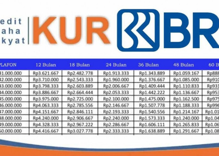 Tabel Angsuran KUR BRI 50 Juta 5 Tahun Tenor, Bisa di Cicil Mulai 1 Jutaan dan Dapatkan Bunga Hanya 0,5 Persen