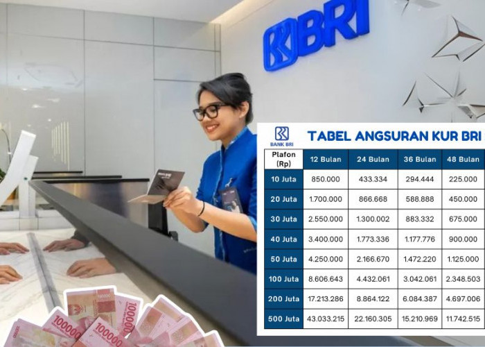 Cuma Cicil 3 Jutaan, Tabel Angsuran KUR BRI 150 Juta Ini Cocok Buat Tambah Modal Usaha Sesuai Tenor Pilihanmu 