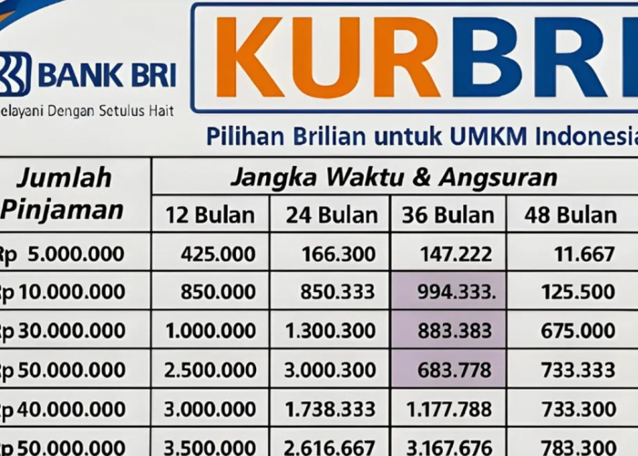 Tabel Pinjaman KUR BRI Plafon 50 Juta untuk UMKM, Cicilan Murah Mulai dari Rp200 Ribu Aja