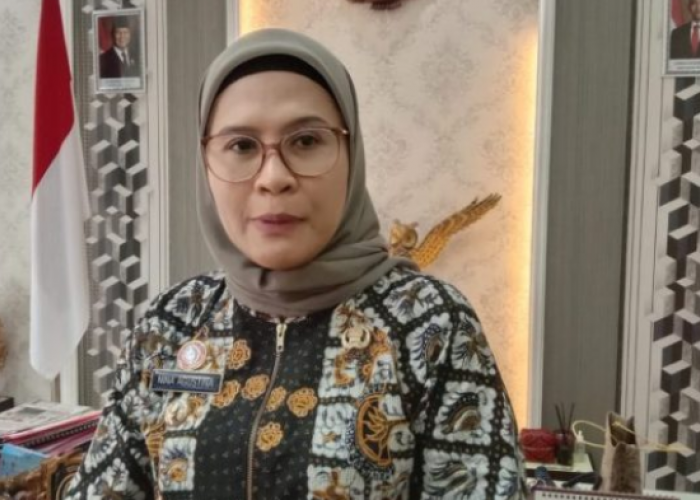 Nina Agustina Terima Hasil Hitung Cepat Pilkada Indramayu 2024 dengan Bijaksana