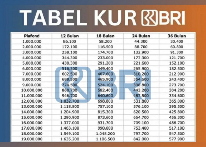 Pinjaman BRI 110 Juta Angsuran Berapa? Lihat Tabel KUR BRI 2025 Lengkap dengan Cicilan dan Tenornya