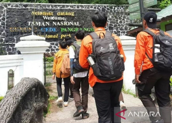 Tersesat di Gunung Pangrango, 13 Pendaki Ditemukan Selamat oleh Tim SAR