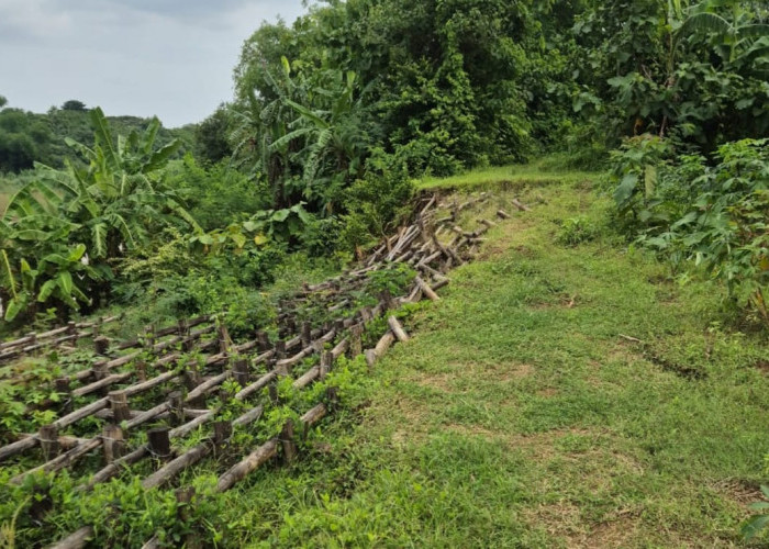 Hujan Deras, Tanggul Sungai Cimanuk di Blok Pulocangak Kembali Amblas