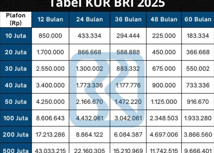 Mau Pinjam Rp100 Juta di KUR BRI 2025? Bunga Rendah dan Syarat Mudah, Ini Rincian Angsuran Lengkapnya!