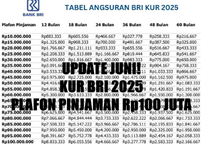 Update Juni! Cek Skema Terbaru KUR BRI 2025 Plafon Rp100 Juta Berapa Angsuranya? Simak Selangkapnya