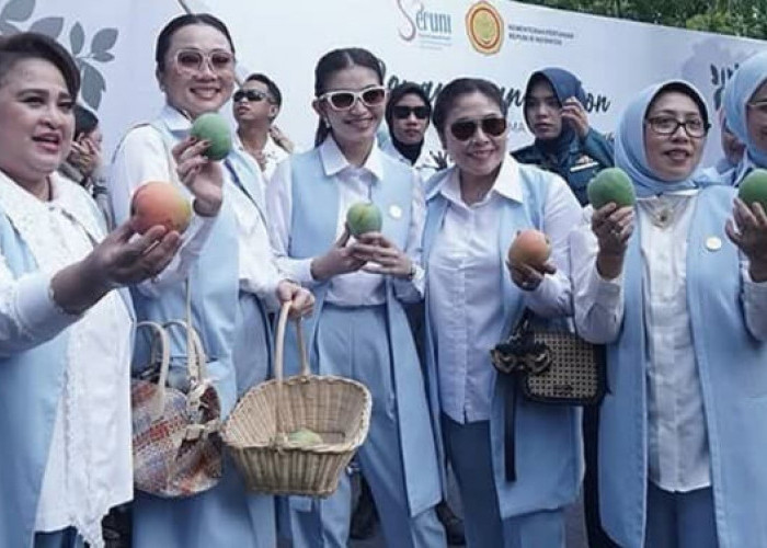 Kunjungi Agrowisata Mangga di Desa Krasak, Selvi Ananda Putri Panen Gedong Gincu