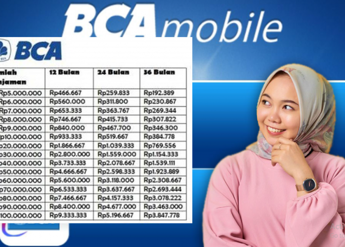 Butuh Dana Mendesak? Begini Cara Cepat Ajukan Pinjaman Darurat BCA!