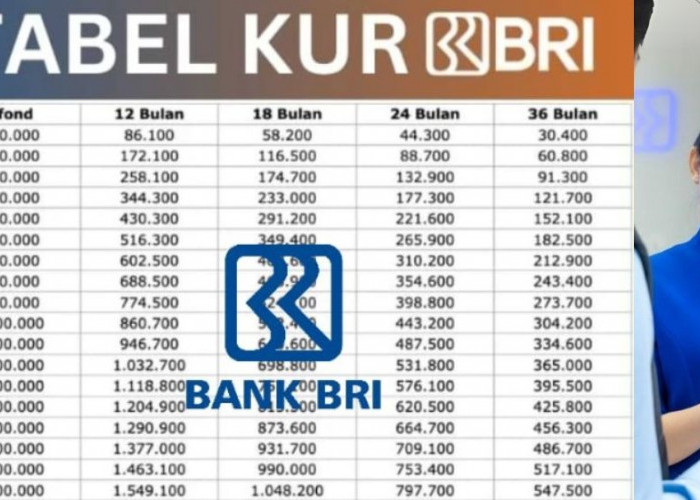 Mau Pinjam Rp100 Juta Buat Usaha? Ini Tabel Angsuran KUR BRI 2025, Tanpa Agunan dan Proses Mudah!