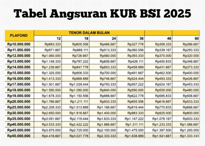 Pinjam Rp10 Juta di KUR BSI 2025 Tenor 3 Tahun, Cek Tabel Angsuran Lengkap Terbaru & Syaratnya!