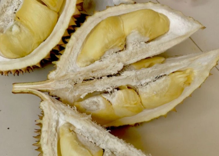 Apakah Durian Aman untuk Penderita Diabetes? Simak Selengkapnya di Sini Agar Tidak Keliru! 