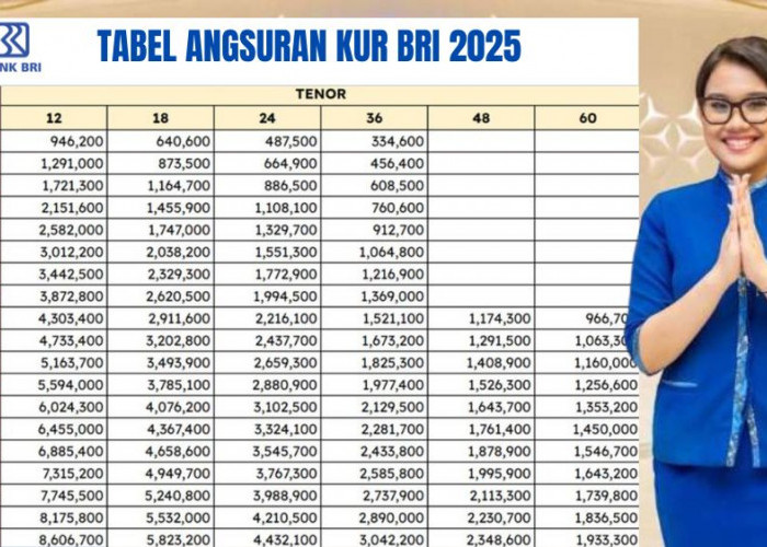 Simak Syarat Wajib Debitur Agar Pengajuan Pinjaman KUR BRI 2025 Plafon Hingga Rp500 Juta Cepat Disetujui Bank